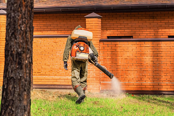 Top rated local Mosquito Control specialists in Western Springs, IL